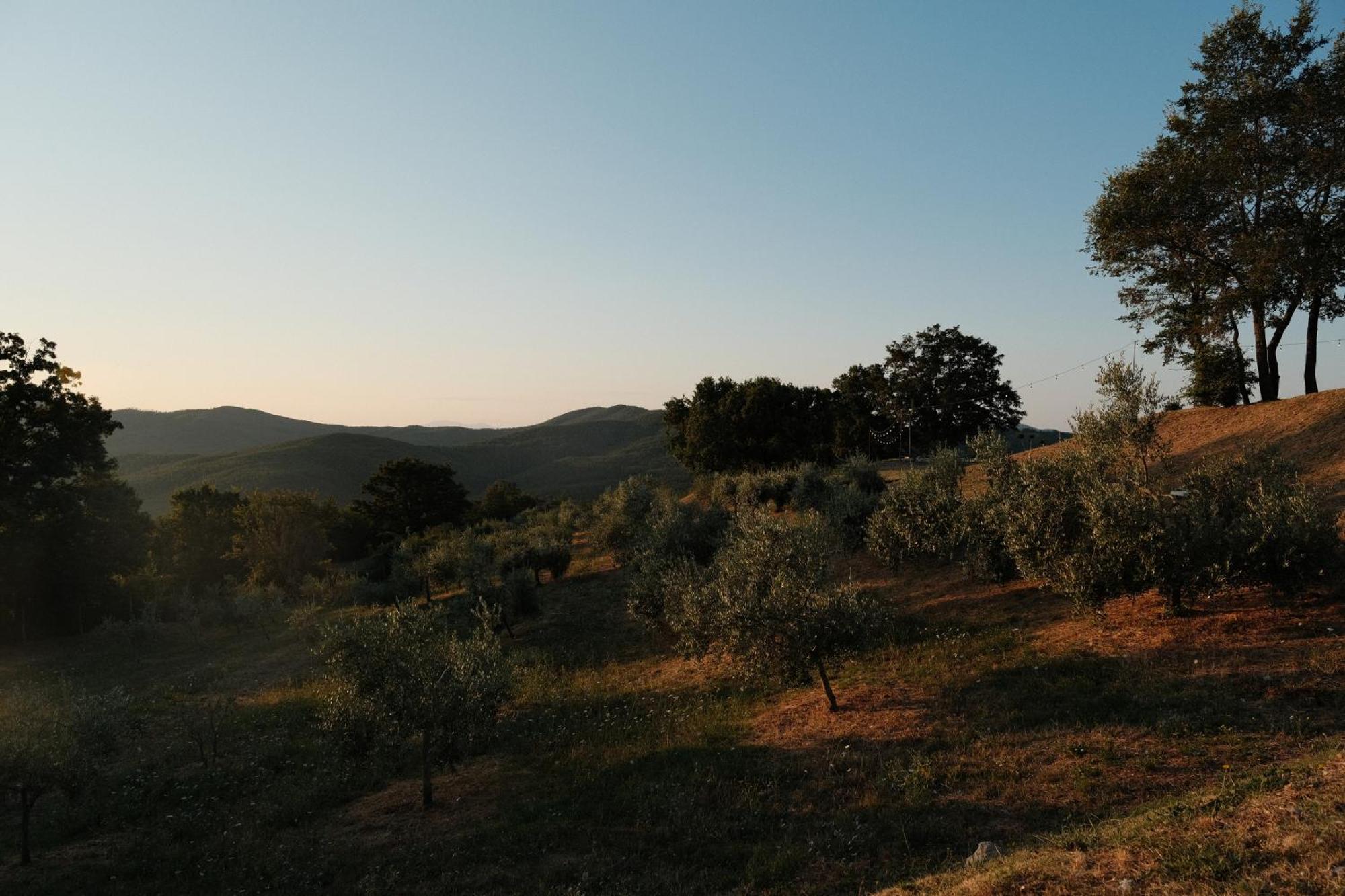 Vin Hotel - Wine Resort And Agriturismo 몬티에리 외부 사진